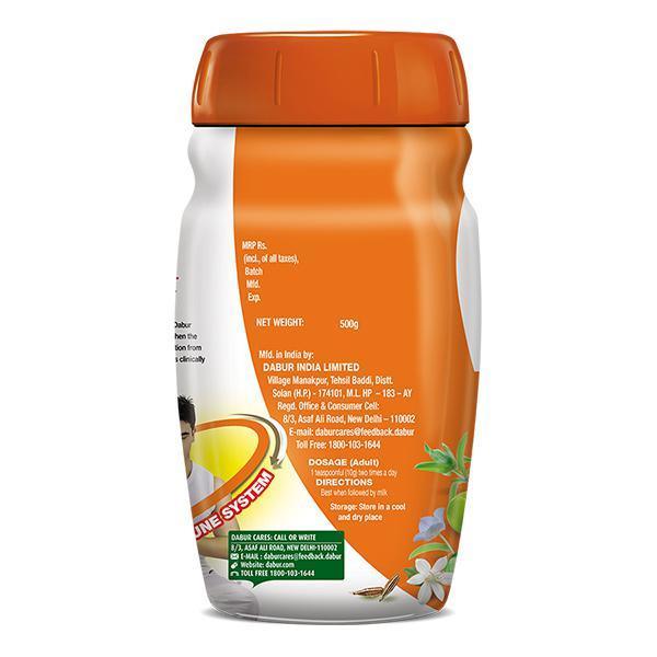 Dabur Chyawanprakash Sugar-Free 500g (Pack of 2) – Ayurvedic Wellness for Diabetics - Image 7