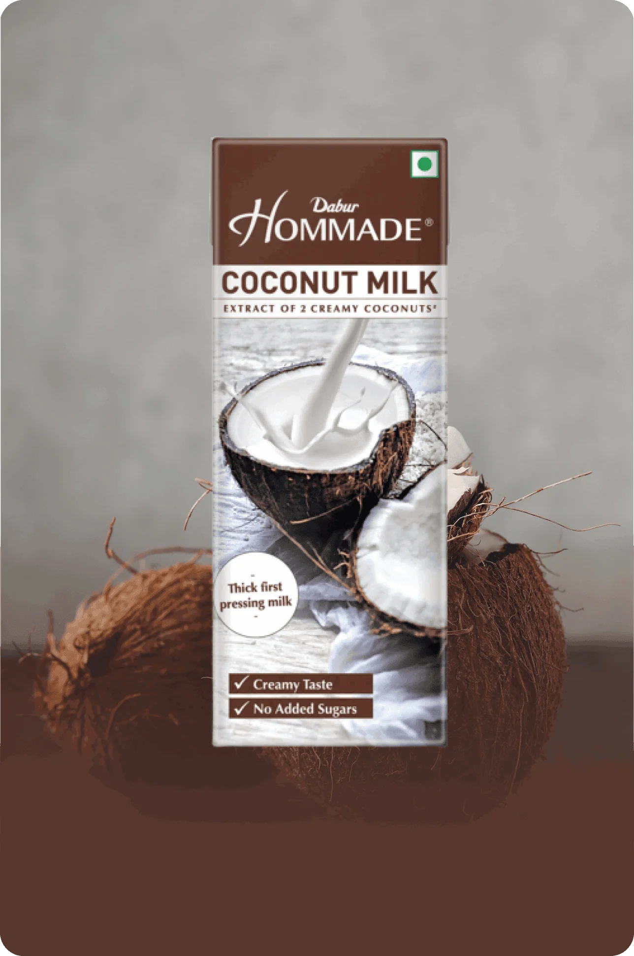 Dabur Hommade Coconut Milk - Image 10